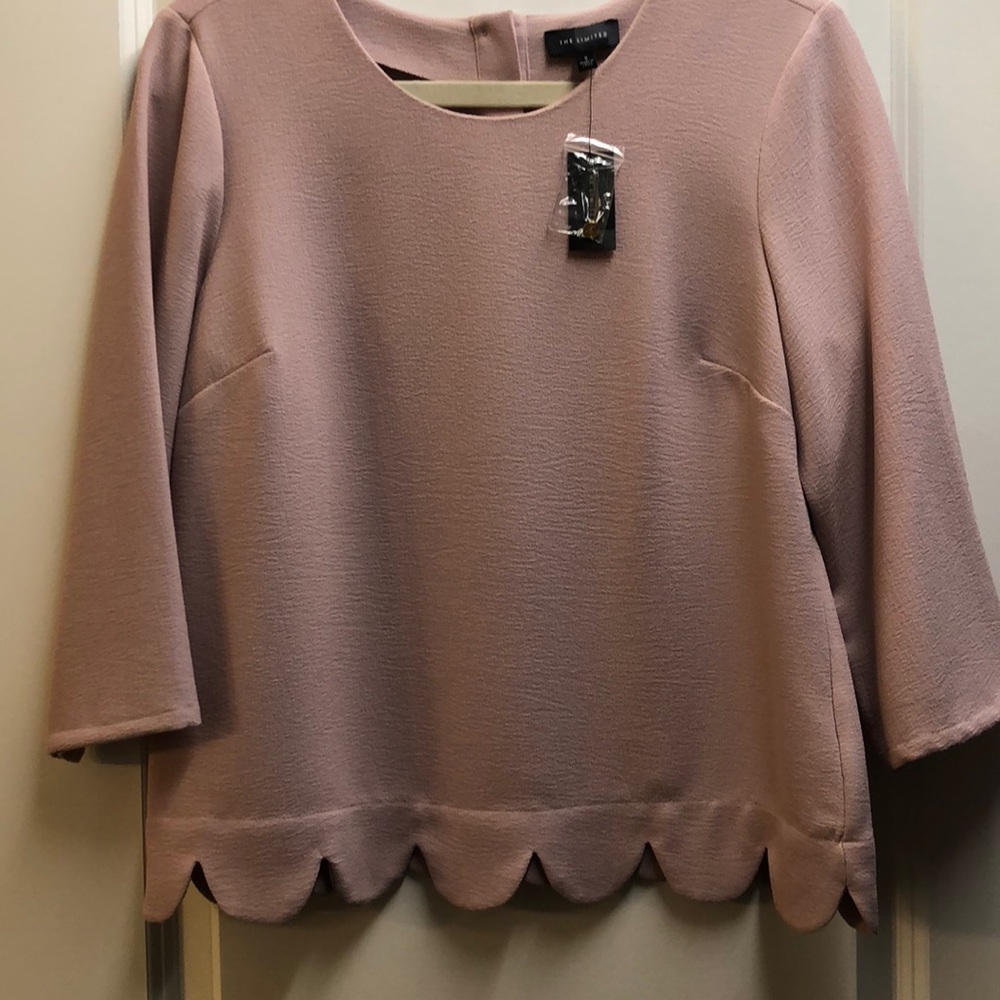The Limited blush scallop top